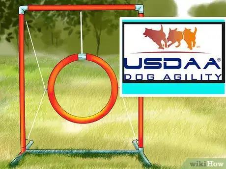 Imagen titulada Design a Dog Agility Course Step 3