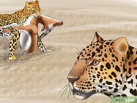 Imagen titulada Tell a Jaguar from a Leopard Step 10