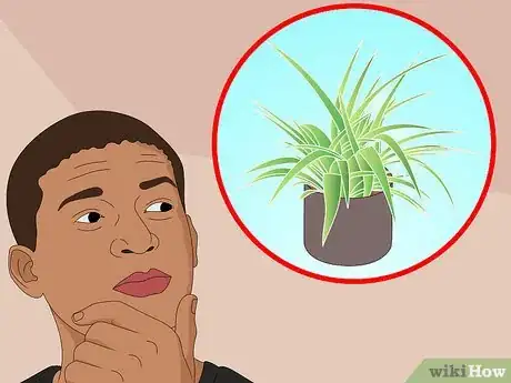 Imagen titulada Care for Indoor Plants Step 14