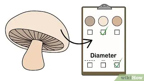 Imagen titulada Pick Mushrooms Step 10