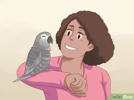 Imagen titulada Treat Feather Picking in African Grey Parrots Step 5