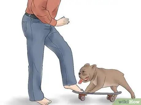 Imagen titulada Teach a Bulldog to Skateboard Step 5