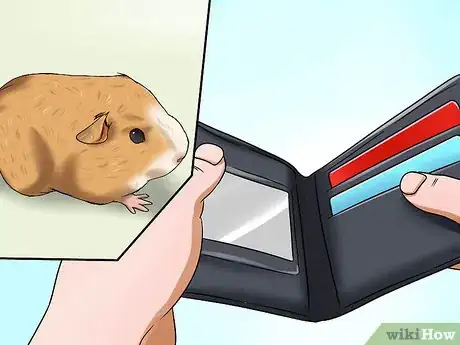 Imagen titulada Convince Your Parents to Buy You a Guinea Pig Step 8