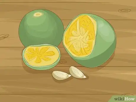 Imagen titulada Plant Calamansi Step 1