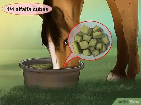 Imagen titulada Feed Your Horse Alfalfa Cubes Step 1