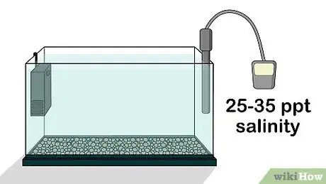 Imagen titulada Grow Copepods Step 4