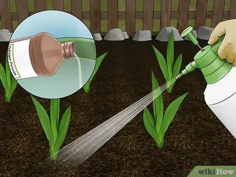 Imagen titulada Use Hydrogen Peroxide in the Garden Step 9