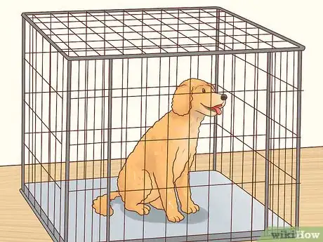 Imagen titulada Keep a Parakeet Safe Out of Its Cage Step 6