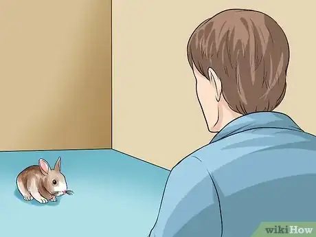 Imagen titulada Teach a Rabbit Not to Scratch Step 1