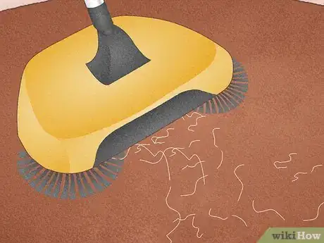 Imagen titulada Remove Hair from a Carpet Without Vacuuming Step 2