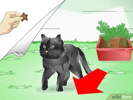 Imagen titulada Keep a Cat out of Potted Plants Step 12