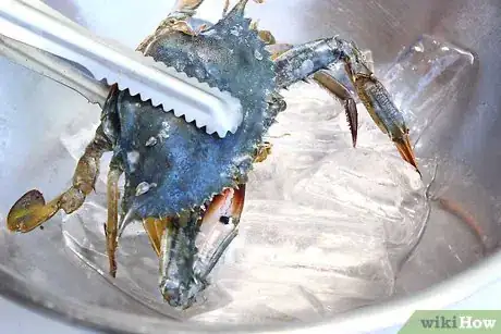 Imagen titulada Boil Blue Crab Step 4