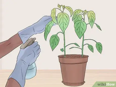 Imagen titulada Take Care of Plants Step 4