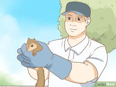 Imagen titulada Keep Squirrels Away Step 21