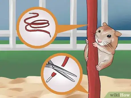 Imagen titulada Have Fun With Your Hamster Step 14