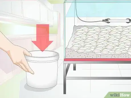 Imagen titulada Clean Aquarium Gravel Step 3