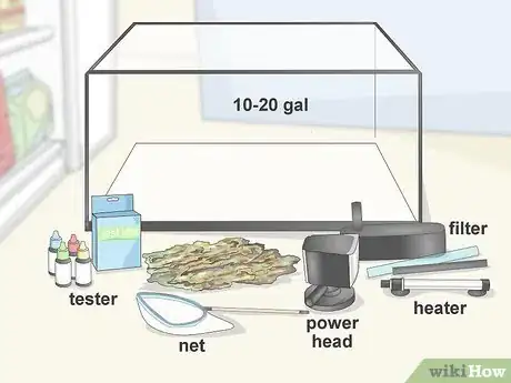 Imagen titulada Quarantine Freshwater Fish Step 1