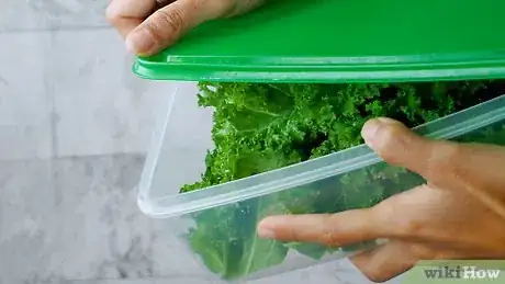 Imagen titulada Clean Kale Step 12