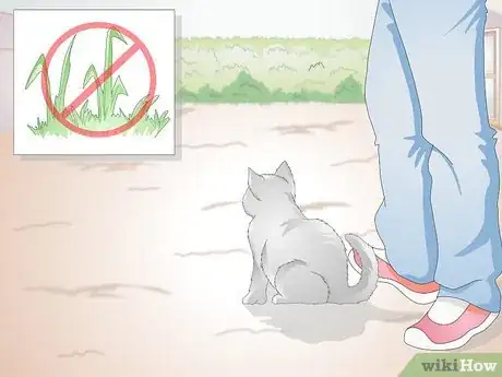 Imagen titulada Stop Your Cat from Eating Grass Step 1