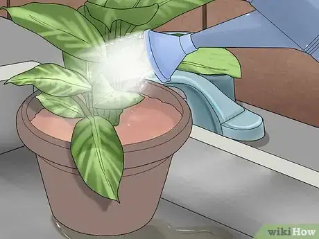 Imagen titulada Remove Brown Tips From the Leaves of Houseplants Step 11