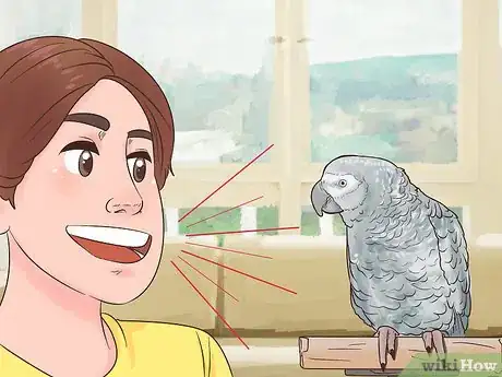 Imagen titulada Encourage an African Grey Parrot to Speak Step 8