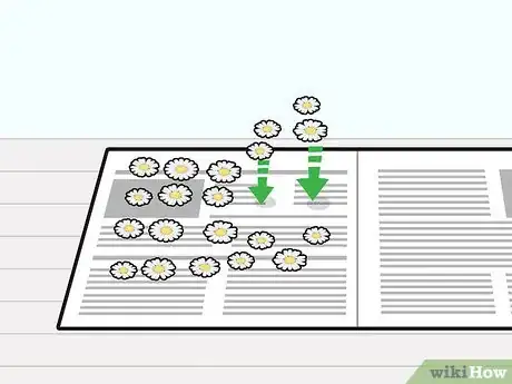 Imagen titulada Dry Chamomile Step 4