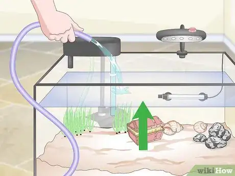 Imagen titulada Set up a Guppy Tank Step 8