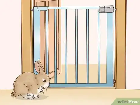 Imagen titulada Let Your Rabbit Run Loose in Your Home Step 5