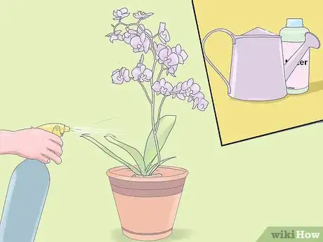 Imagen titulada Care for Mini Orchids Step 22