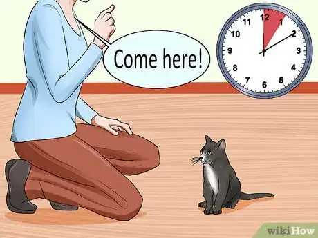 Imagen titulada Train Your Cat to Come to You Step 8