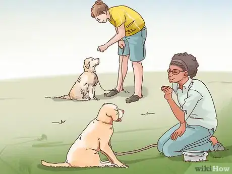 Imagen titulada Make an Outdoor Dog an Indoor Dog As It Ages Step 7