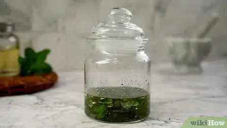 Imagen titulada Make Peppermint Oil Step 7