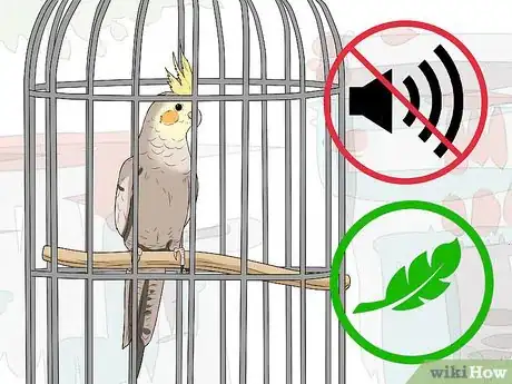 Imagen titulada Handle a Cockatiel Step 3