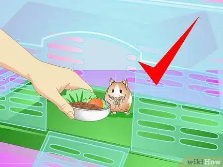 Imagen titulada Make Your Hamster Live Longer Step 4