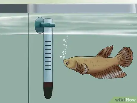 Imagen titulada Keep a Betta's Water Warm Step 2