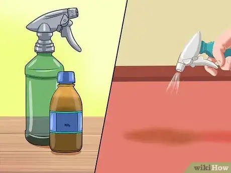 Imagen titulada Clean Vomit out of Carpet Step 19