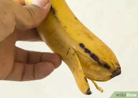 Imagen titulada Whiten Your Teeth with Banana Peel Step 2Bullet2