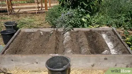 Imagen titulada Grow Corn from Seed Step 6