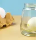 poner un huevo dentro de una botella
