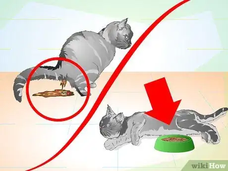 Imagen titulada Care for Your Cat After Neutering or Spaying Step 18