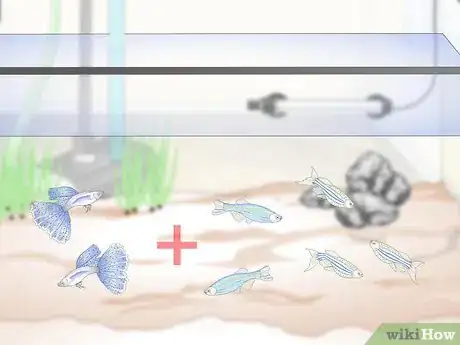 Imagen titulada Take Care of Your Fish Step 3