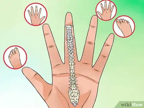 Imagen titulada Read a Hand Reflexology Chart Step 3