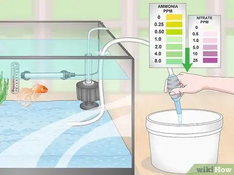 Imagen titulada Keep a Goldfish Happy and Healthy Step 14