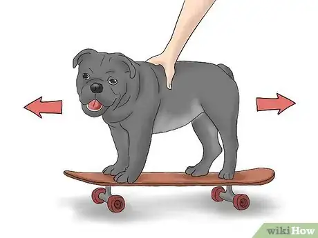 Imagen titulada Teach a Bulldog to Skateboard Step 9