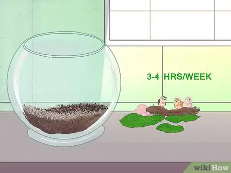 Imagen titulada Make Moss Terrariums Step 20