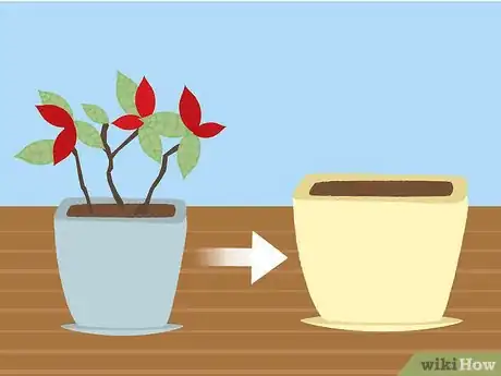 Imagen titulada Care for Poinsettias Step 15