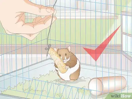 Imagen titulada Make Hamster Treats Step 20