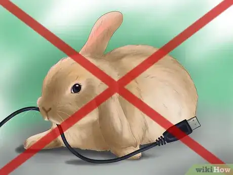 Imagen titulada Raise a Healthy Bunny Step 9