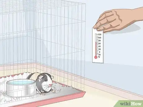 Imagen titulada Keep Your Guinea Pig Cool in Hot Weather Step 5