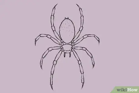 Imagen titulada Draw a Spider Step 17